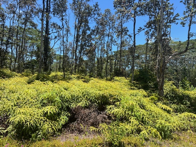 Property Photo:  Plumeria Rd  HI 96778 