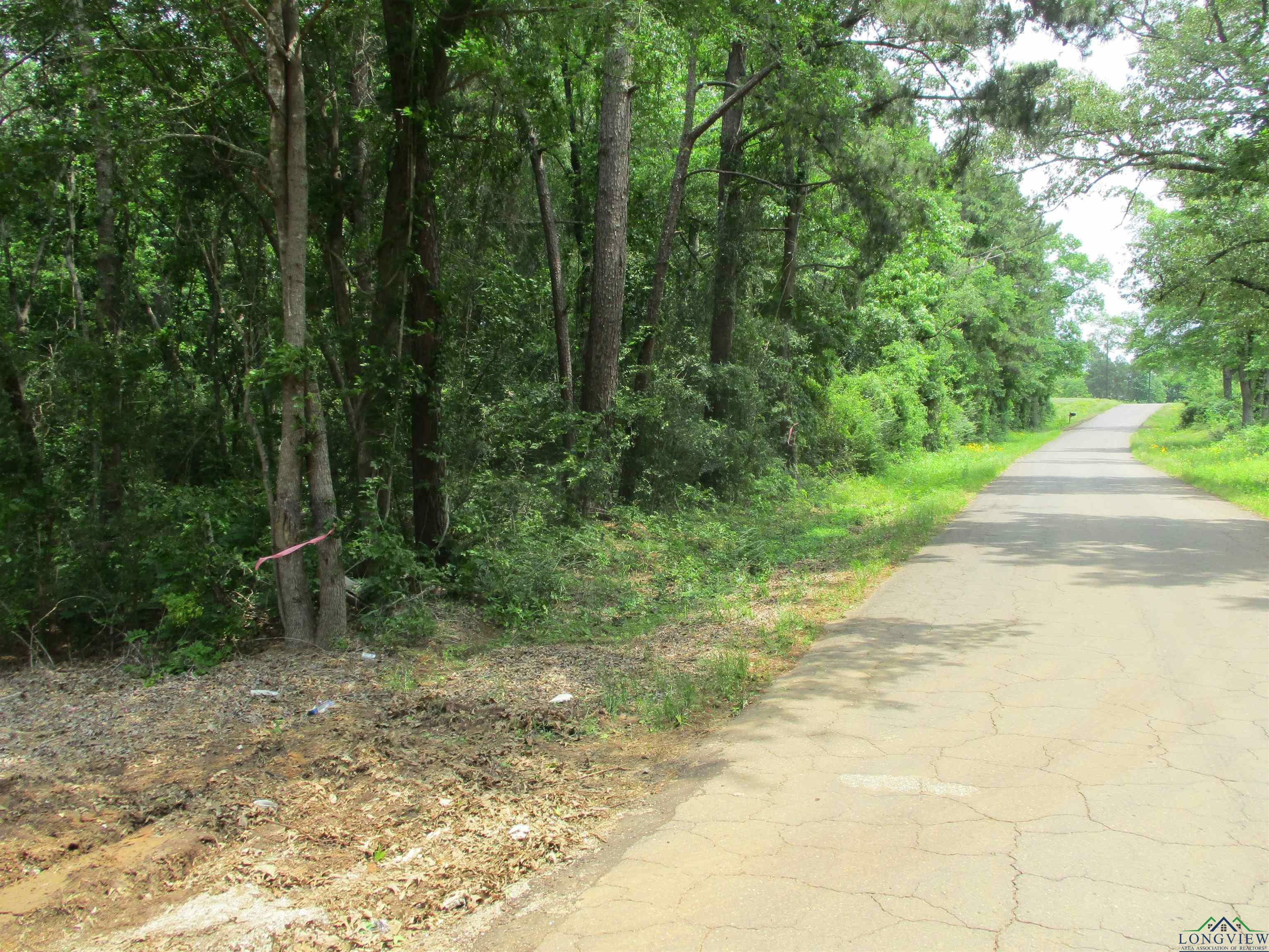 Property Photo: 3200 Block Cr 102 W TX 75782-00