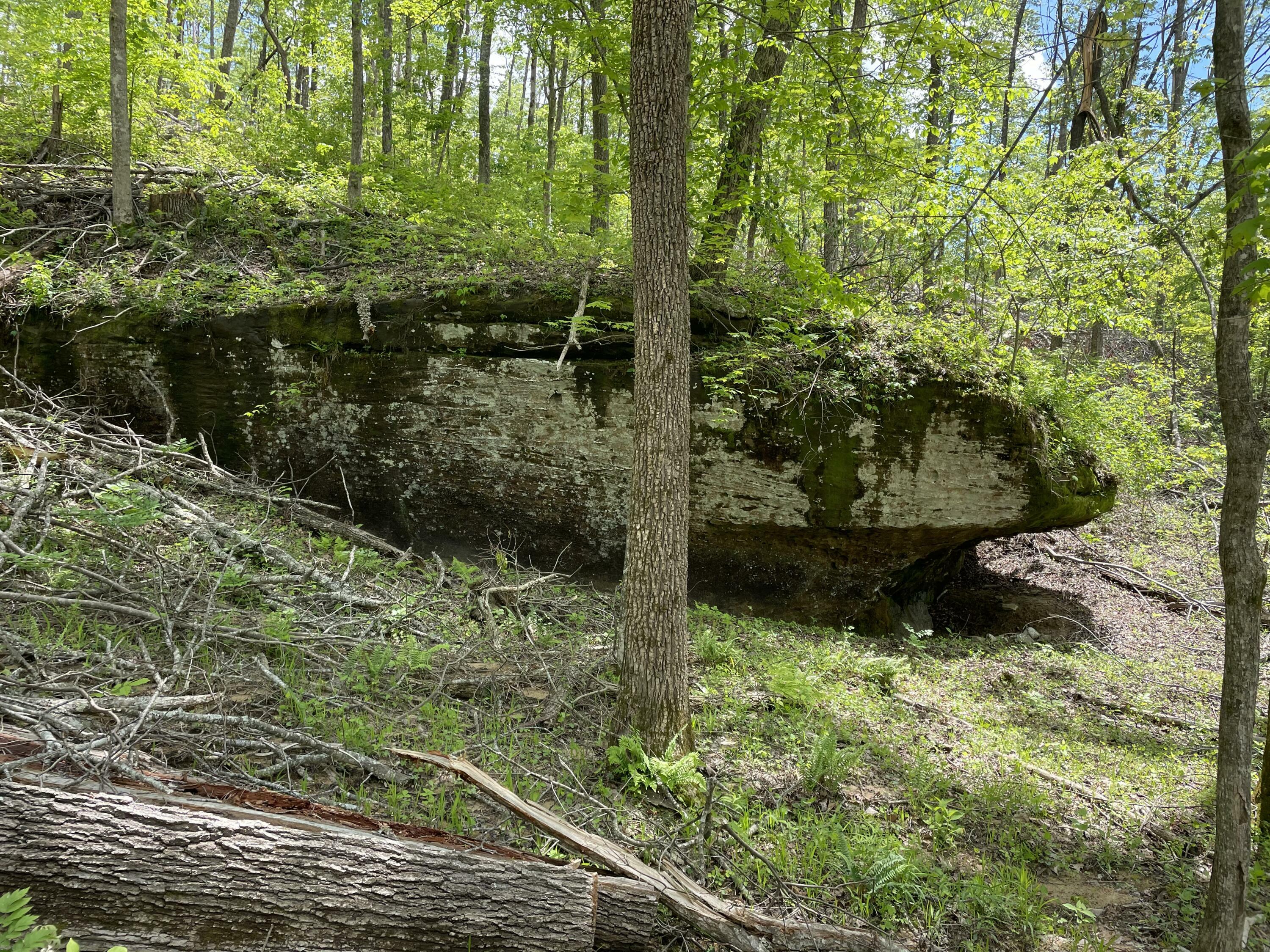 Property Photo: 1820 Sulphur Springs Hollow Road KY 42501