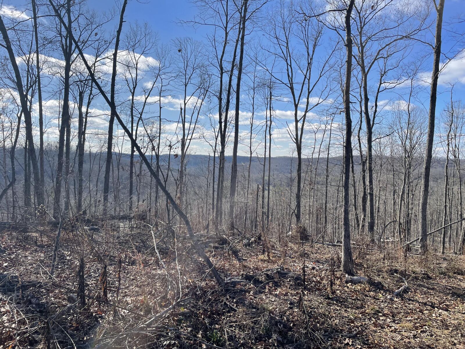 Property Photo:  1820 Sulphur Springs Hollow Road  KY 42501 