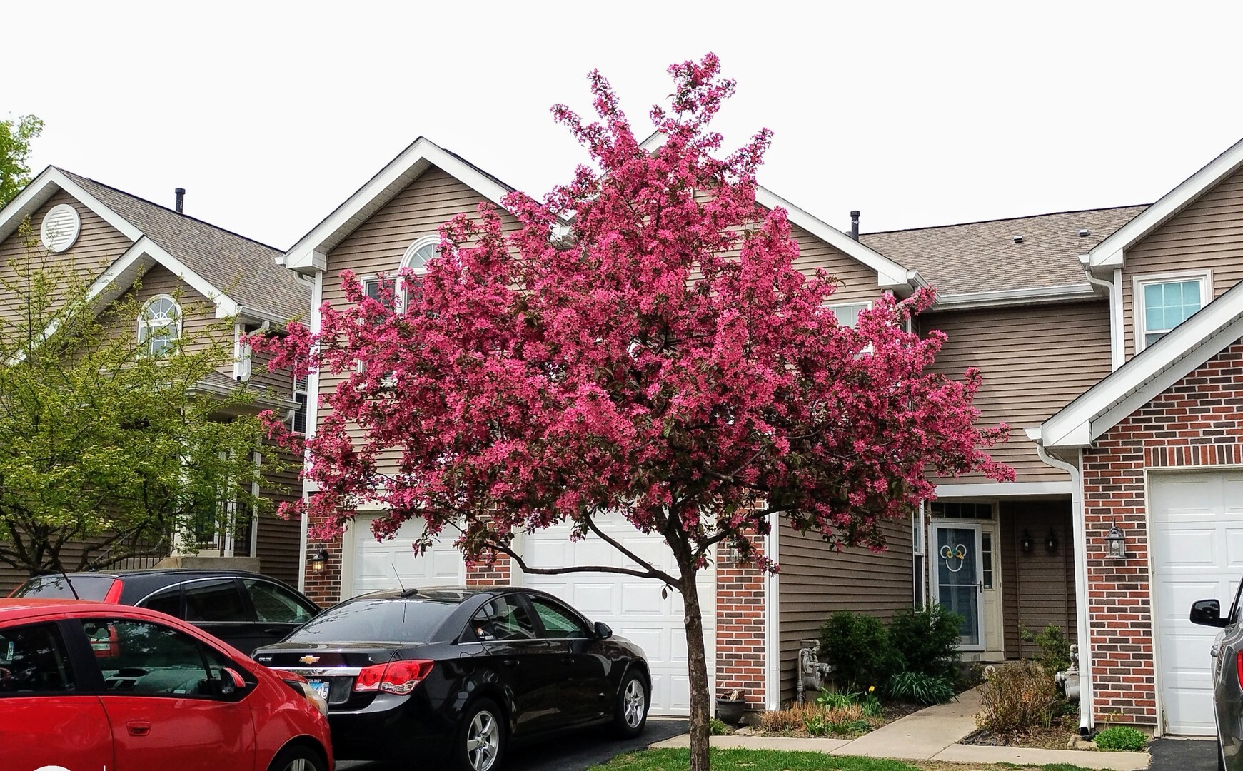 Property Photo: 1373 Grayshire Court IL 60120