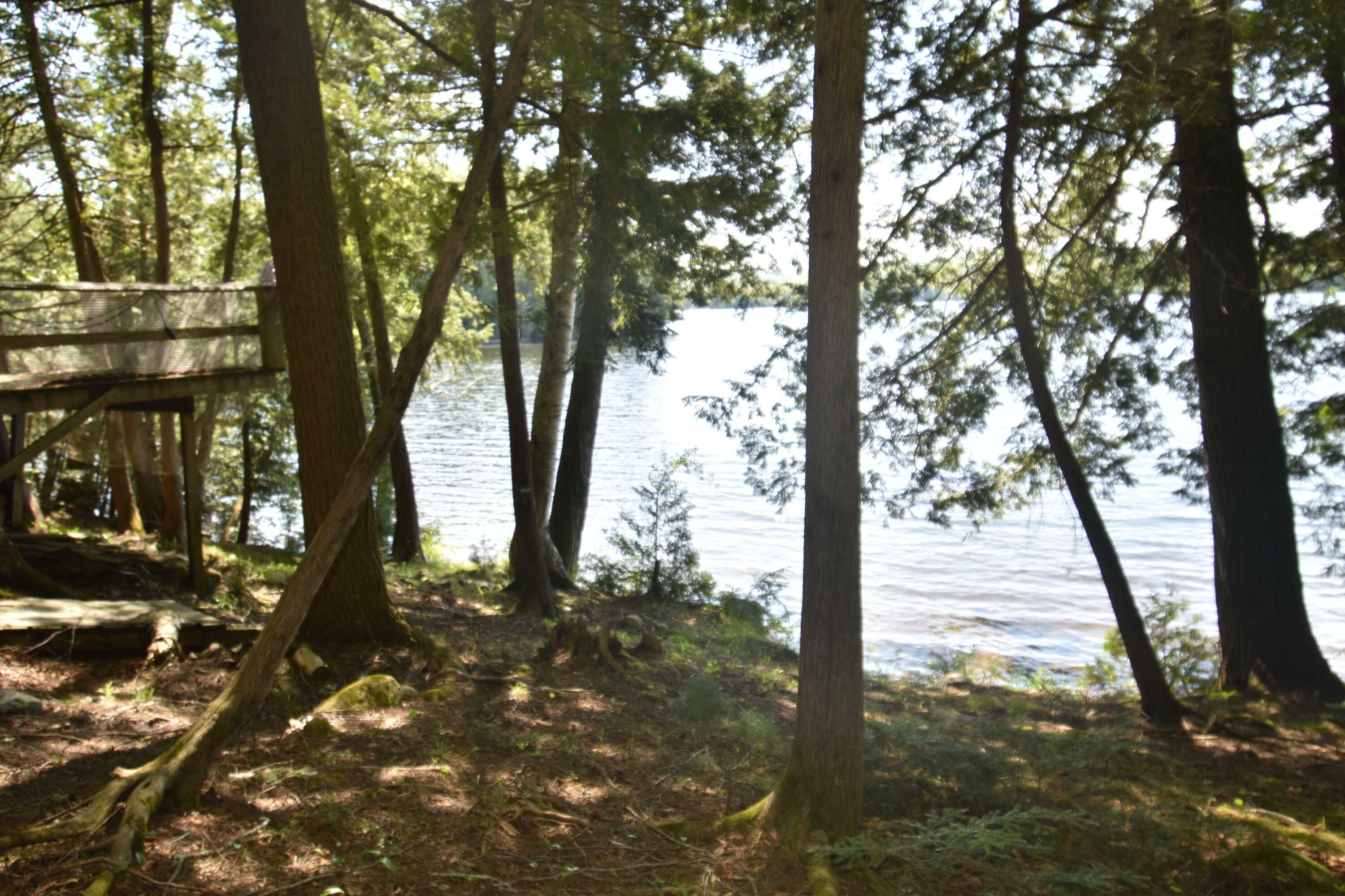 Property Photo:  77 Orchard Drive  ME 04971 