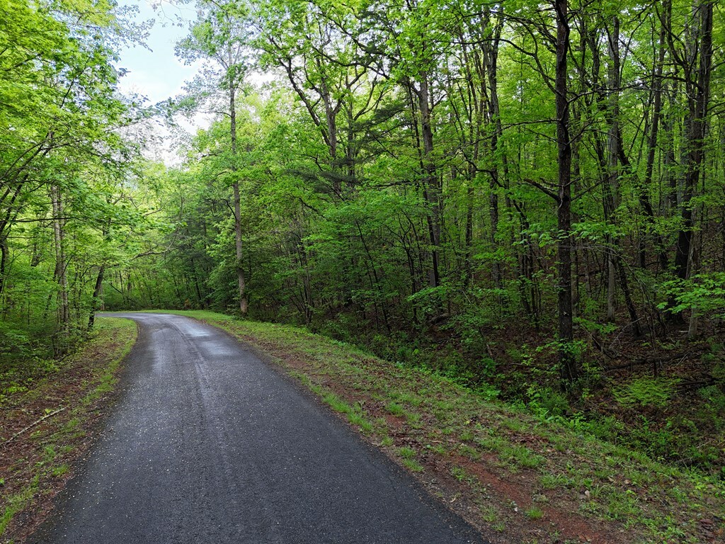 Property Photo: L93 - 95 Timberline GA 30582