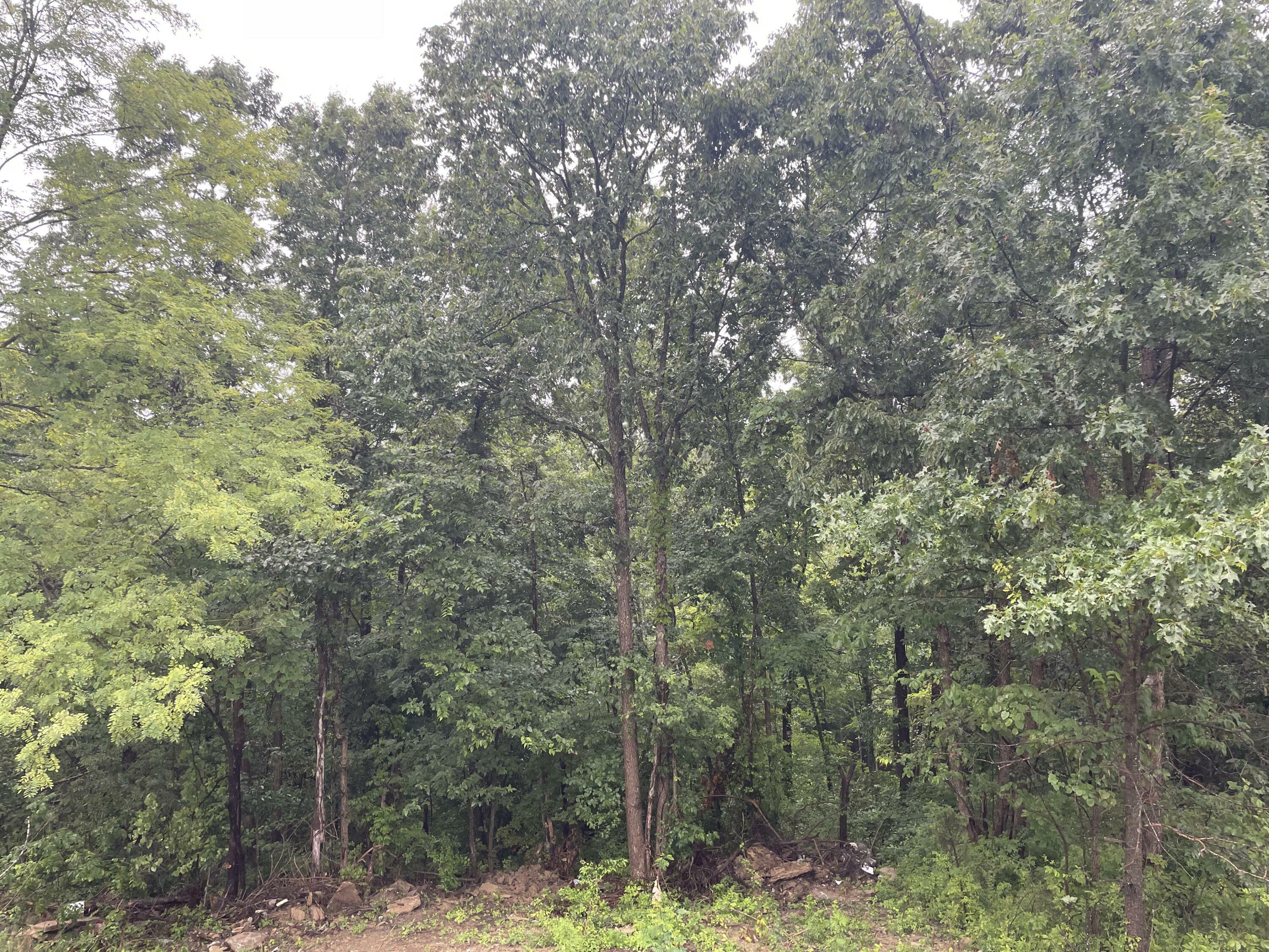 Property Photo: 575 Crossroads Pike KY 41010