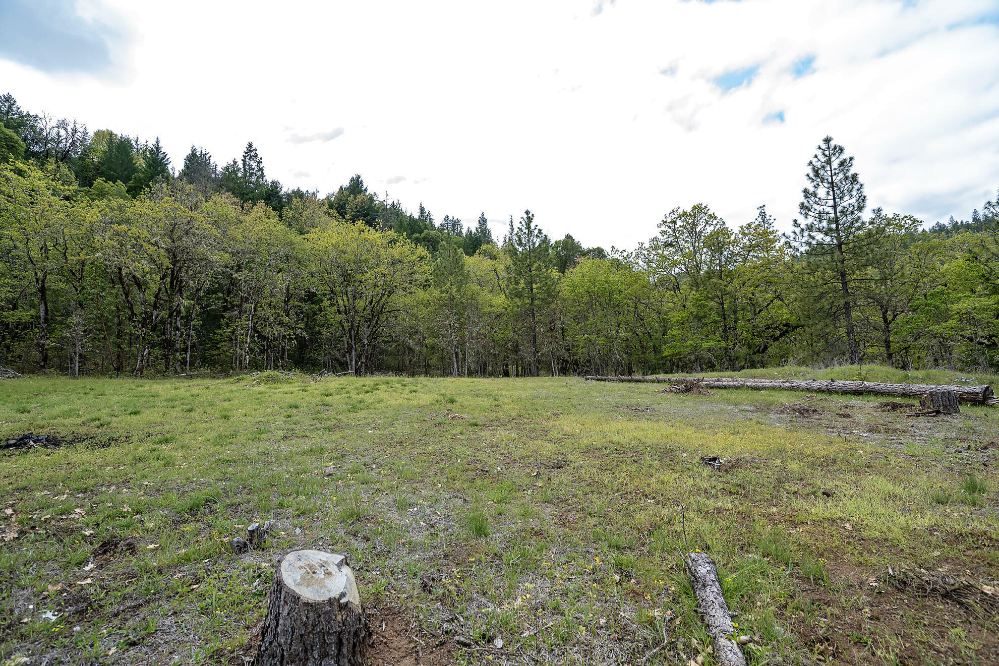 Property Photo: 0 Cabetowne Way OR 97539