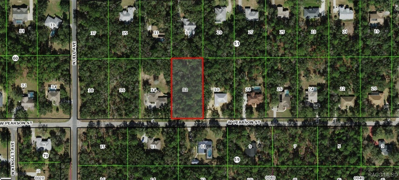 Property Photo:  893 W Pearson Street  FL 34442 