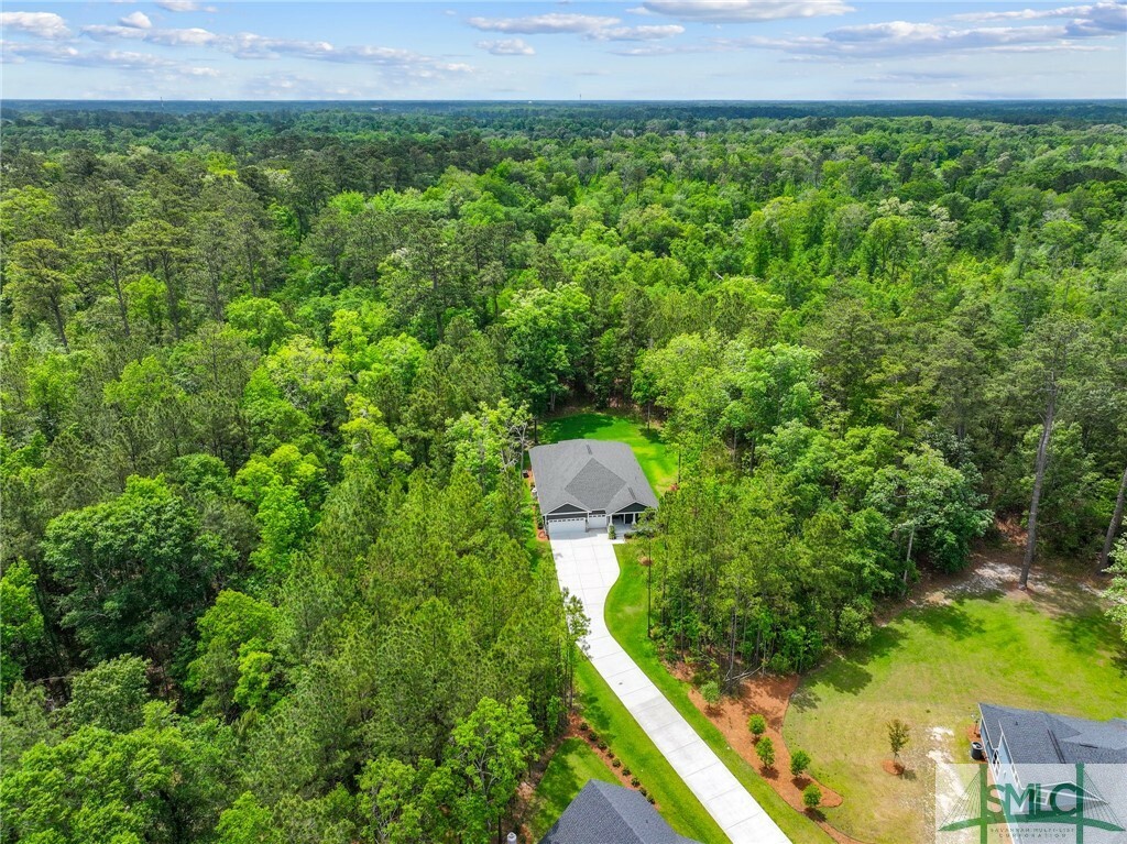 Property Photo: 20 Serenity Point GA 31419