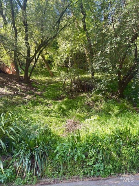 Property Photo: 67 Tamalpias Avenue CA 94930