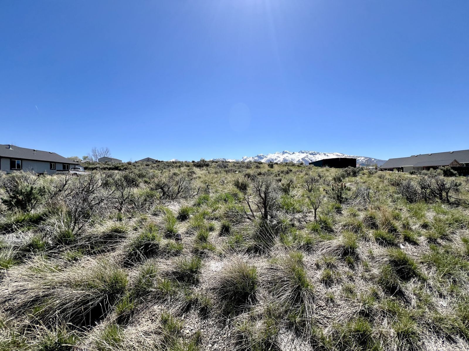 Property Photo:  844 White Oak Drive  NV 89815 