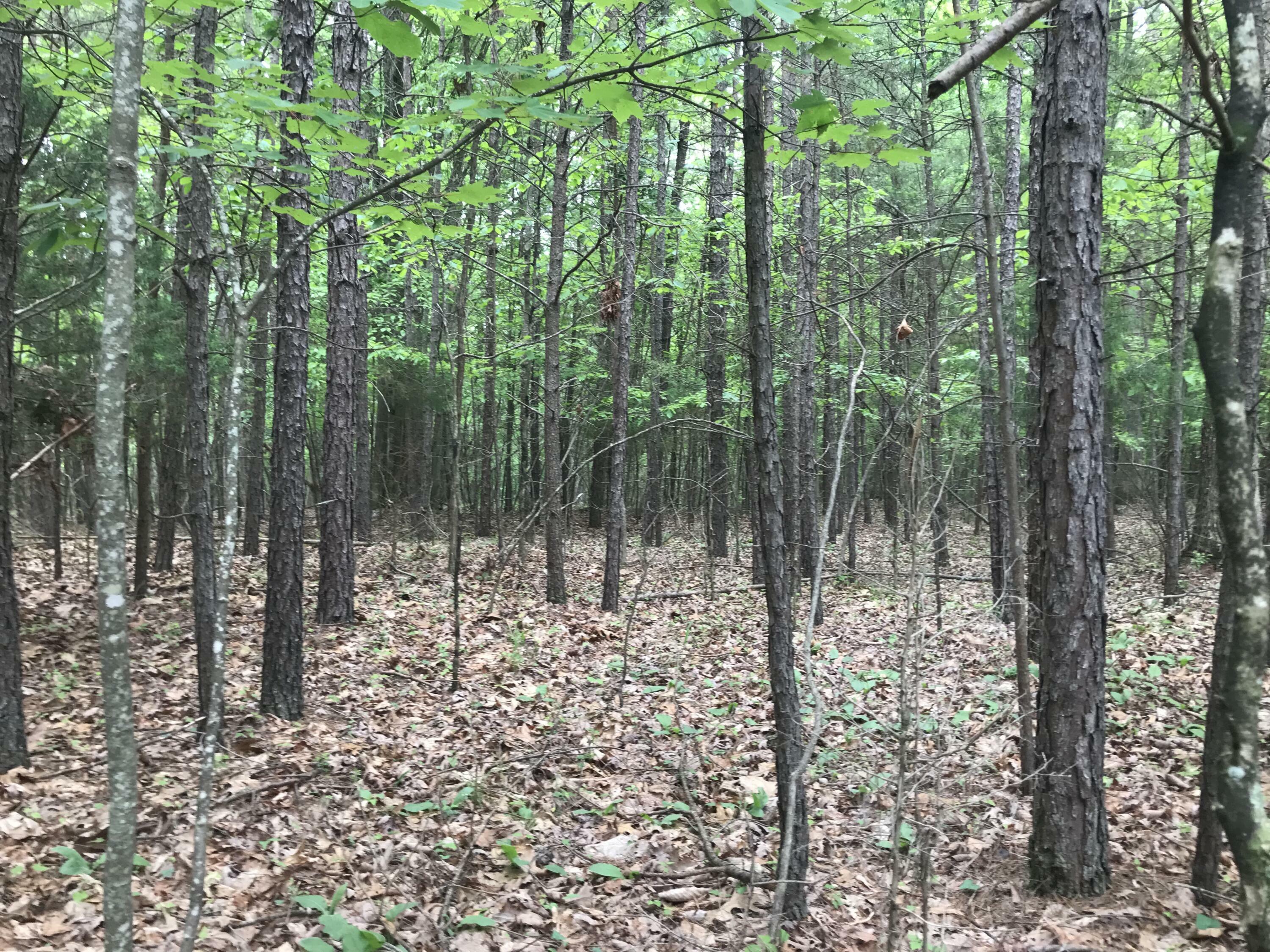 Property Photo: 0 Bluffview Drive TN 37327