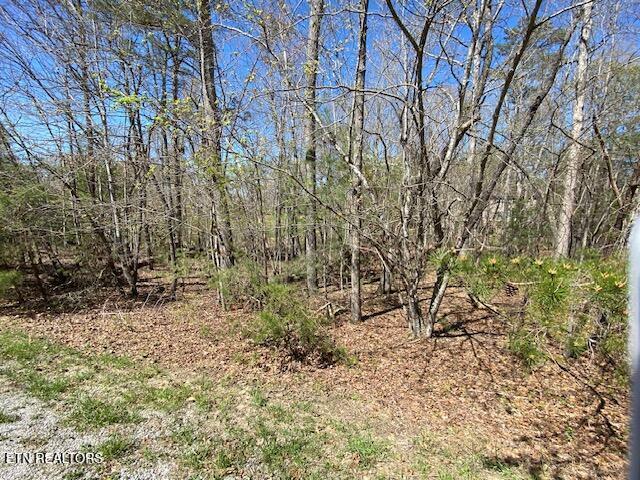 Property Photo:  Mariners Point  TN 38558 