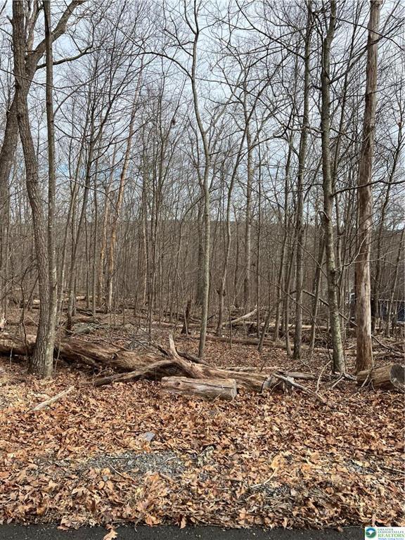 Property Photo: 535 Maxatawny Drive PA 18347