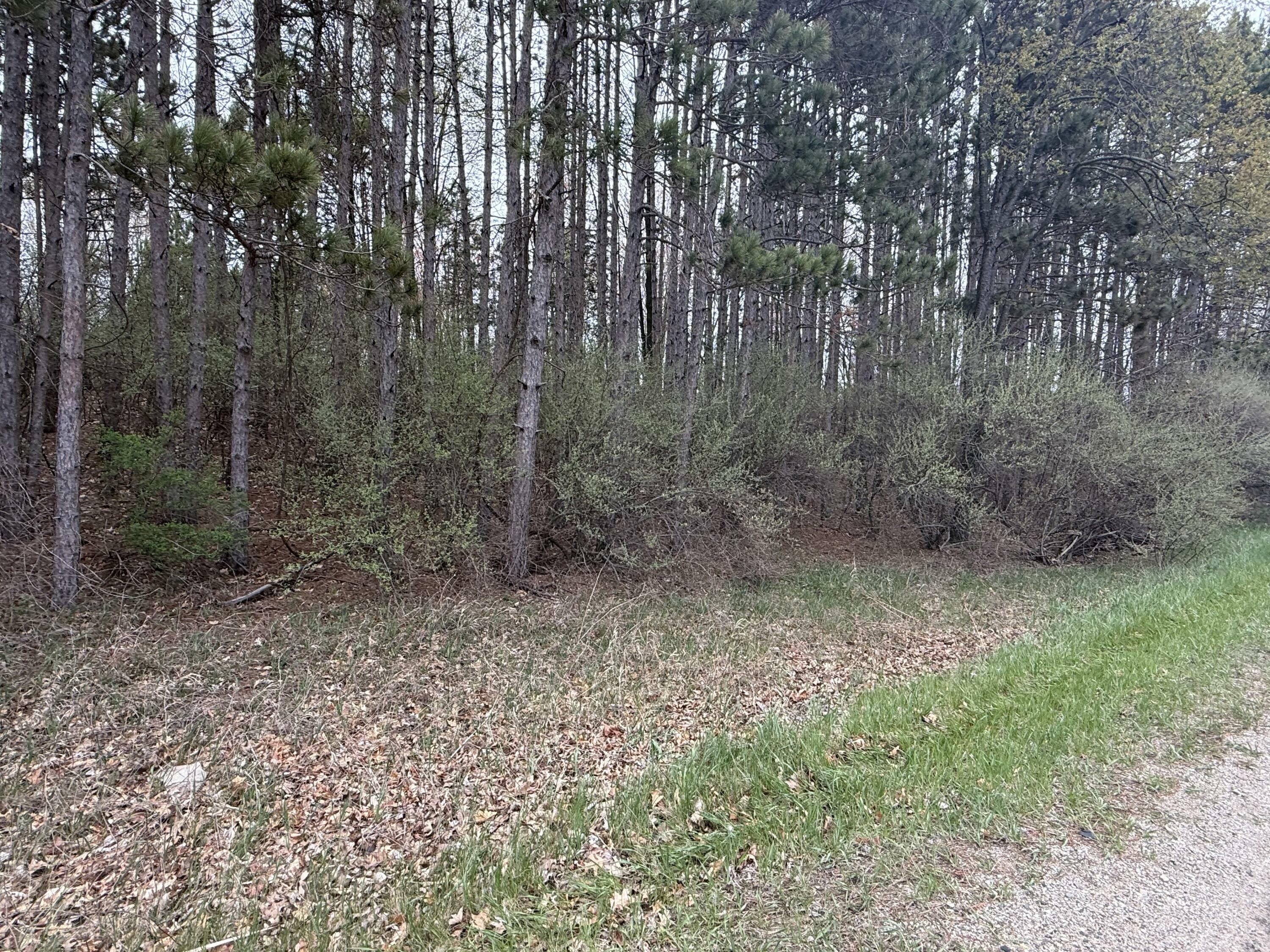 Property Photo: 1115 El Camino Grande MI 48893