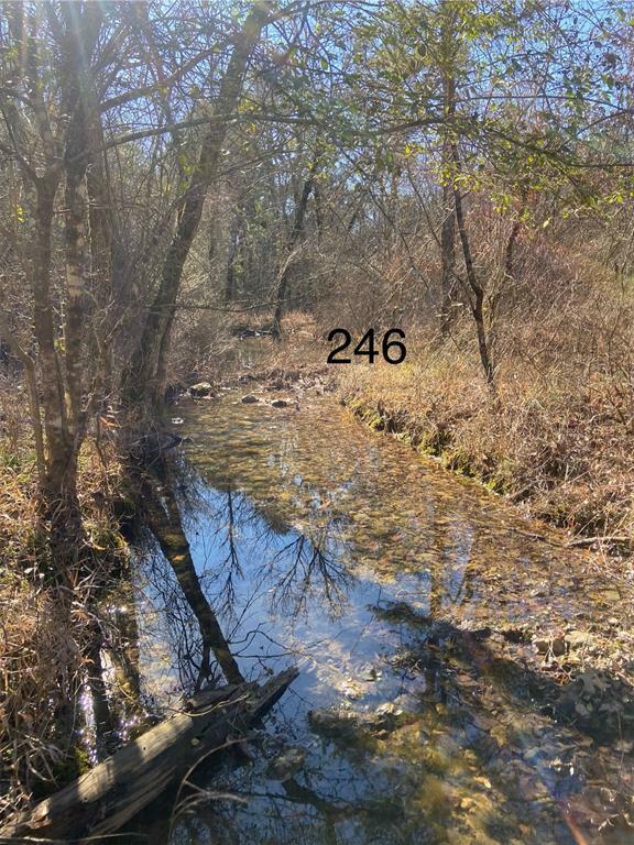 268 Green Olive Trail  Broken Bow OK 74728 photo
