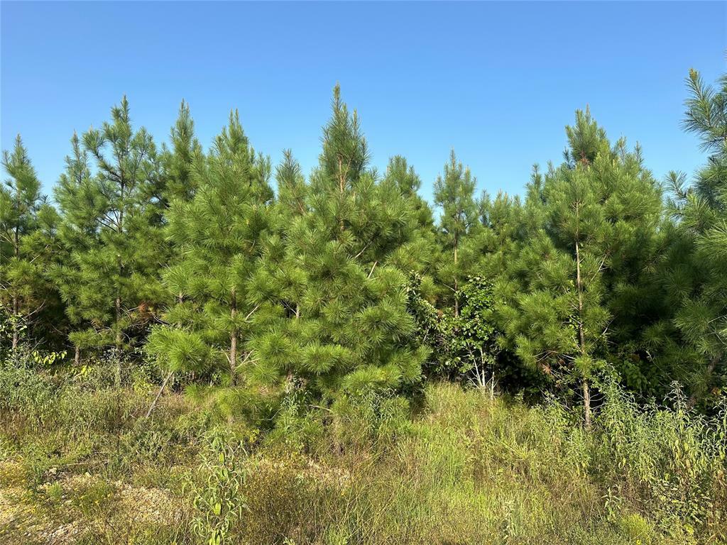 Property Photo: 162 Red Holly Trail OK 74728