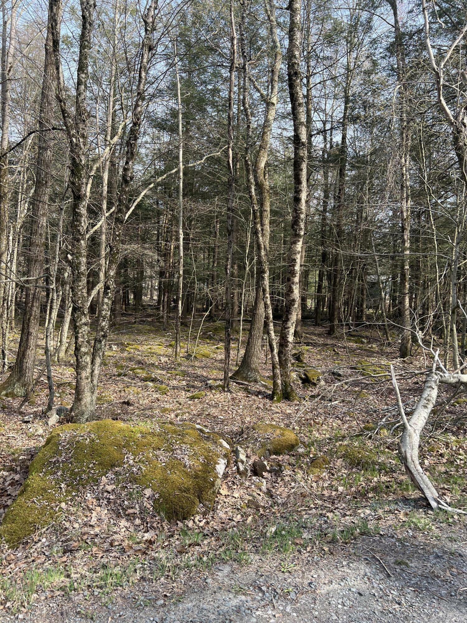 Property Photo: Lot 813 White Pine Drive PA 18347
