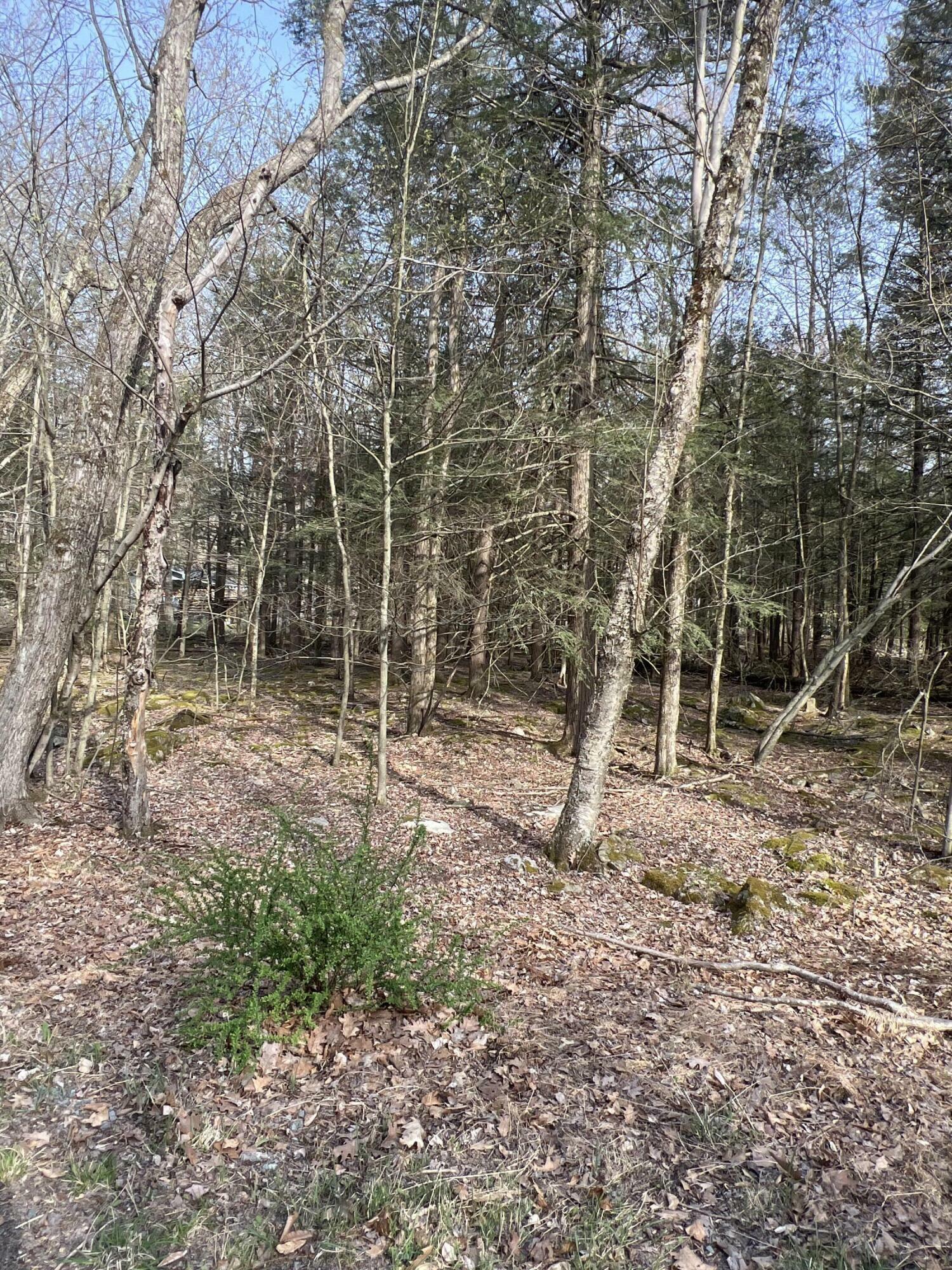 Property Photo: Lot 814 White Pine Drive PA 18347