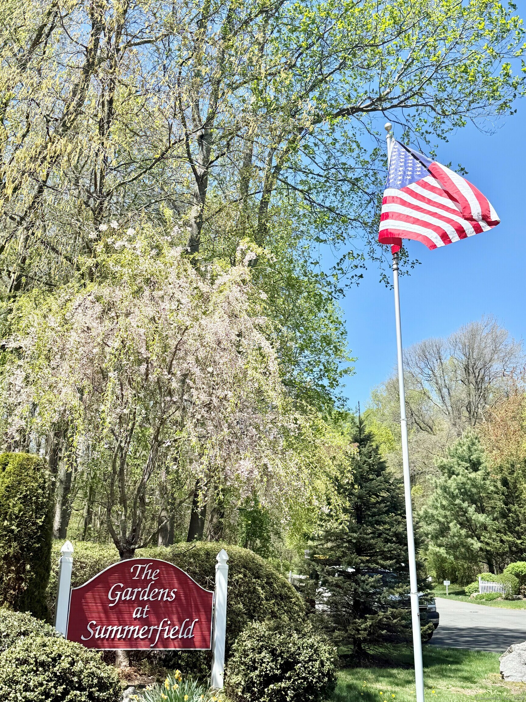 Property Photo: 253 Summerfield Gardens 253 CT 06484