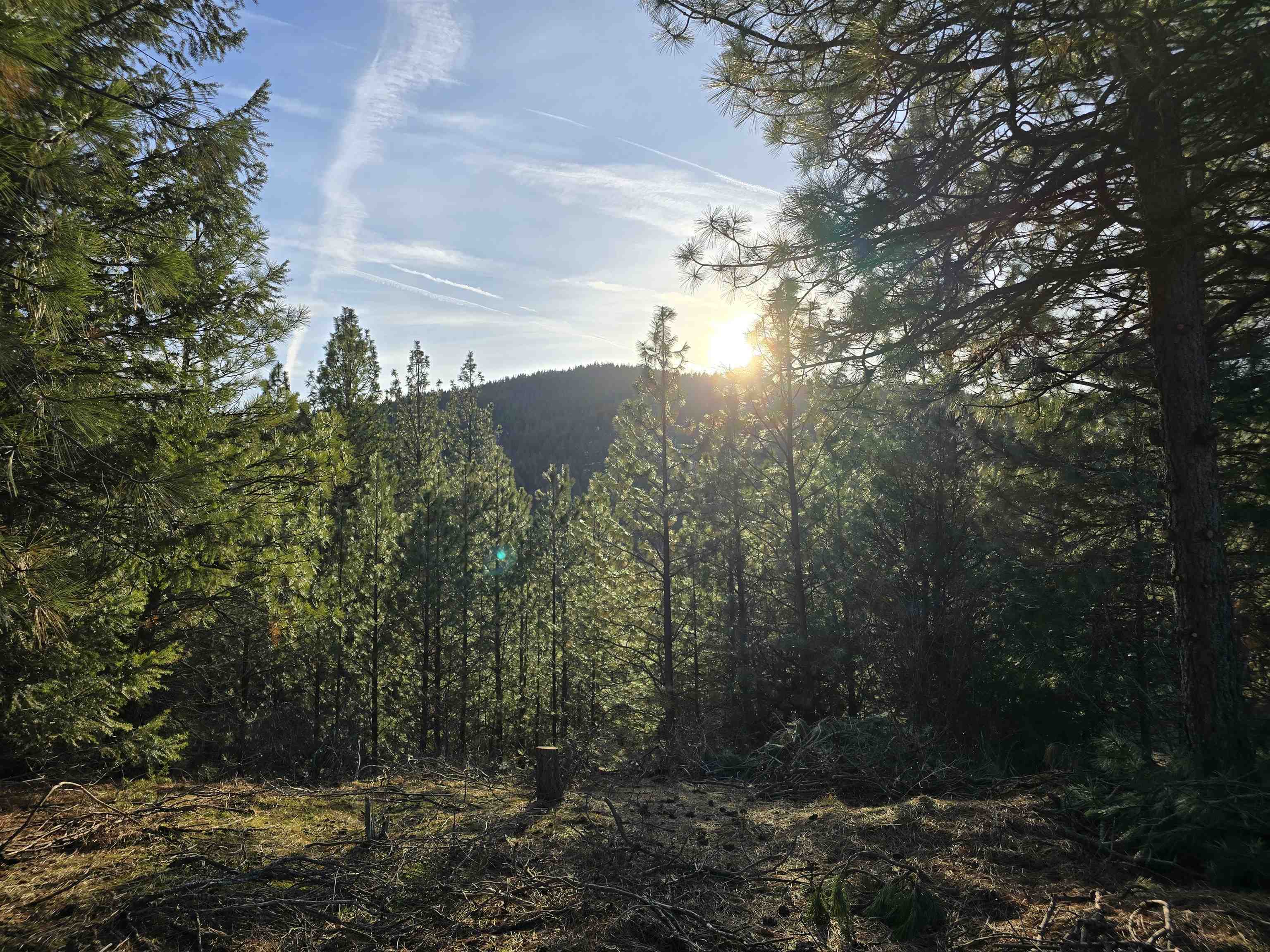 Property Photo: 0 E View Ridge Ln WA 99206