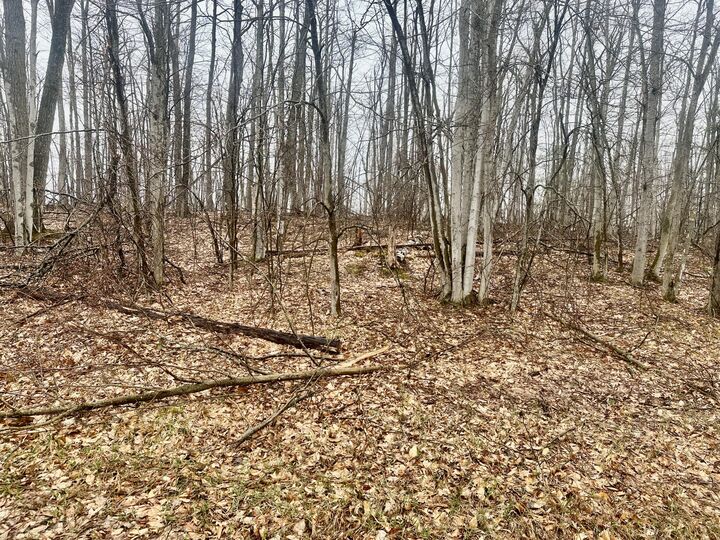 Property Photo: Lot 1618 Pheasant Run MI 49735