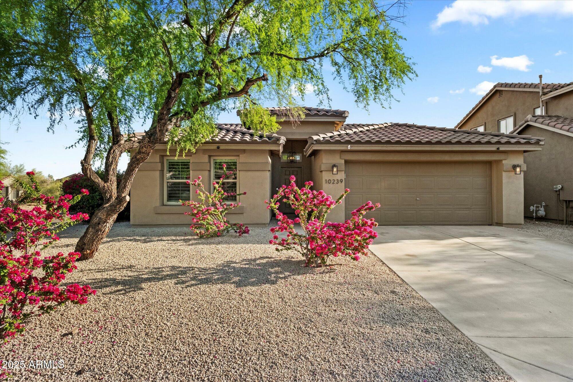 Property Photo: 10239 E Salt Bush Drive AZ 85255