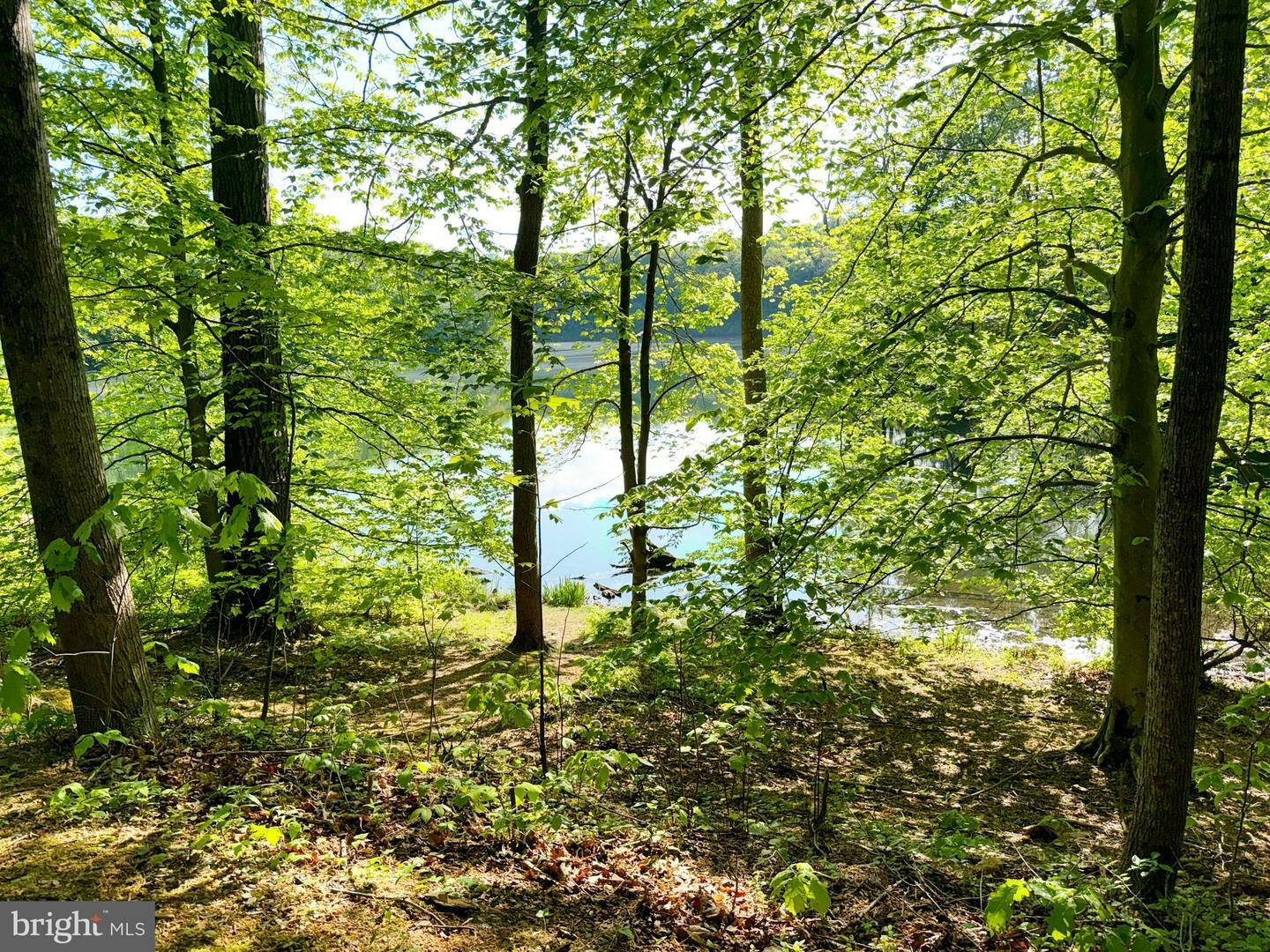 Property Photo: 20553 Anndyke Way MD 20874