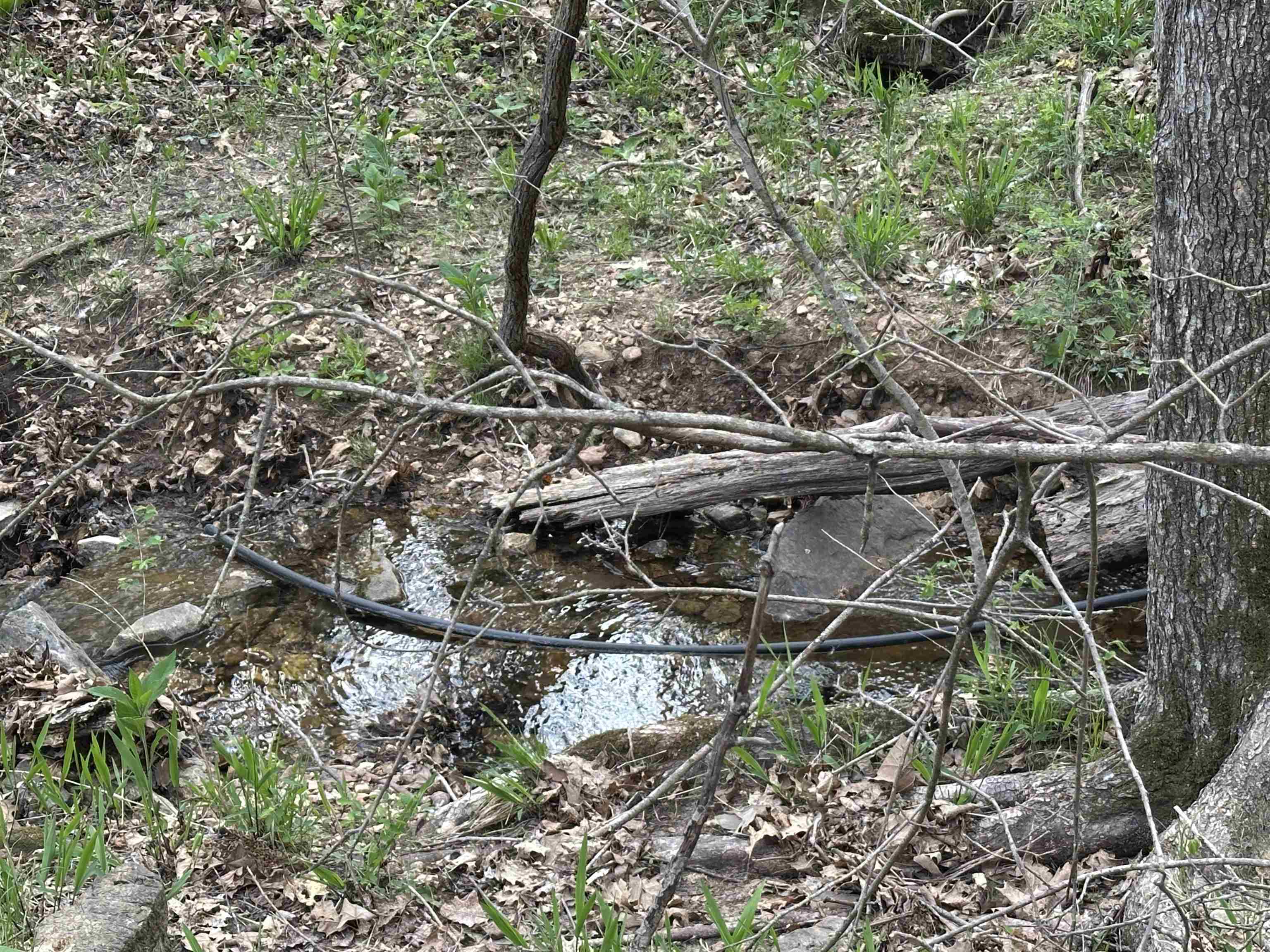 Property Photo: 188 Oregon Trail AR 72672