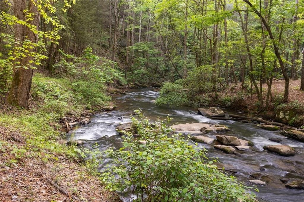 Property Photo: 0 Chastain Ct. GA 30148