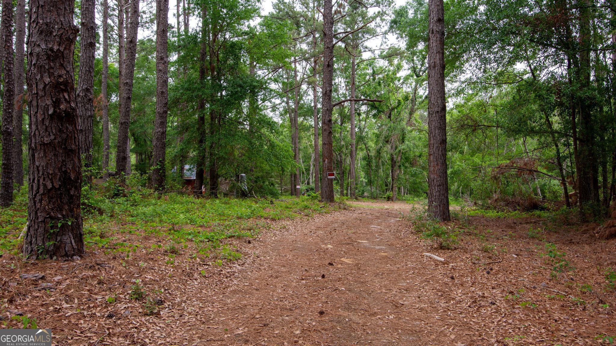 Property Photo: 760 Memphis Road GA 30439