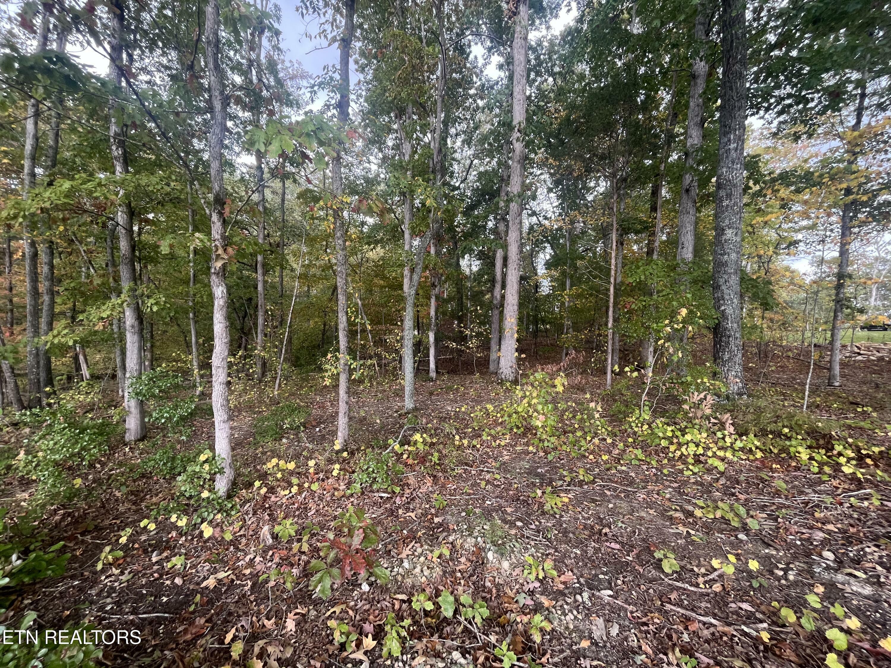 Property Photo: Lot 55 E Shore Drive TN 37854