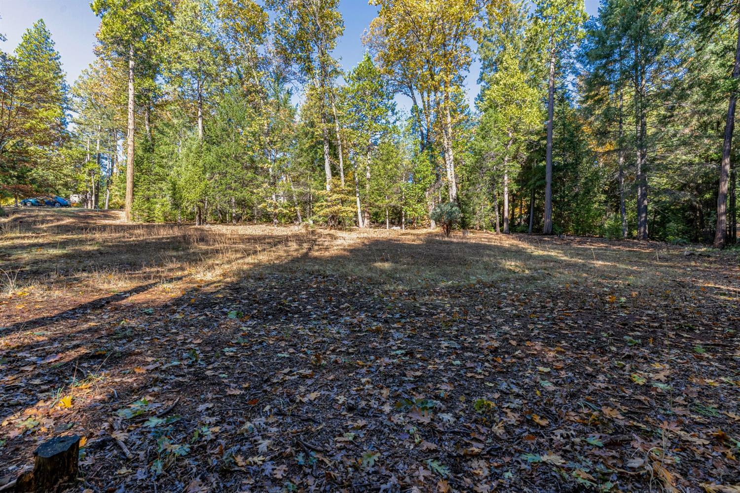 Property Photo: 13837 Gemini Court CA 95959