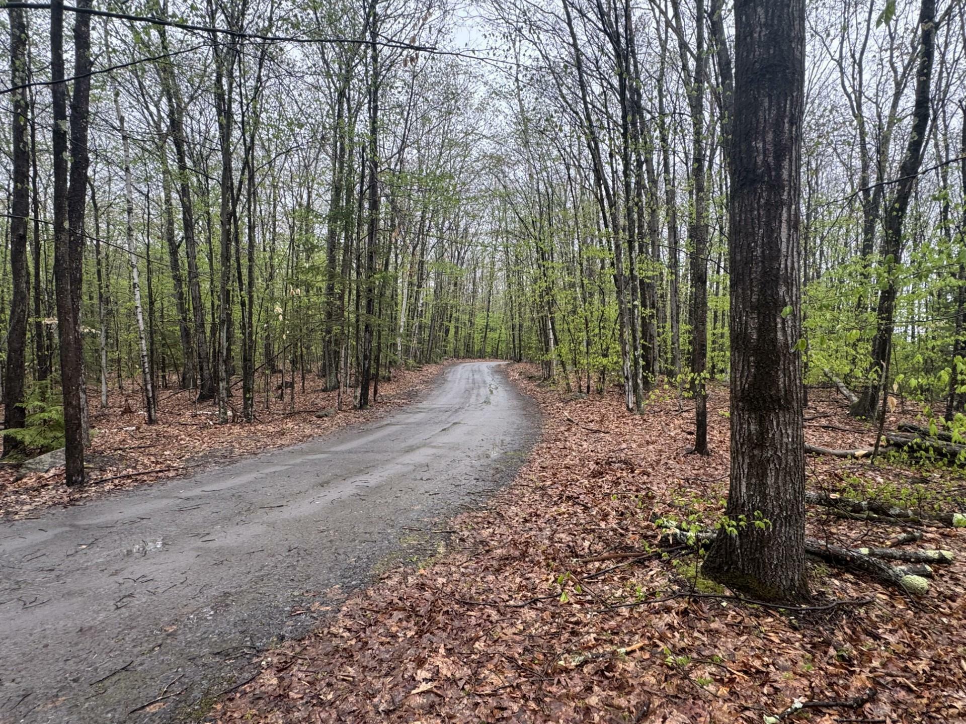 Property Photo: 0 Old Walpole Road NH 03431