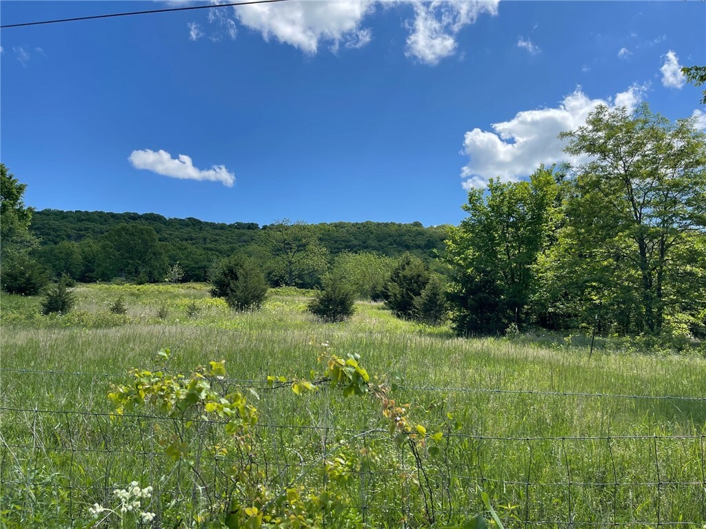 Cr 425  Berryville AR 72616 photo