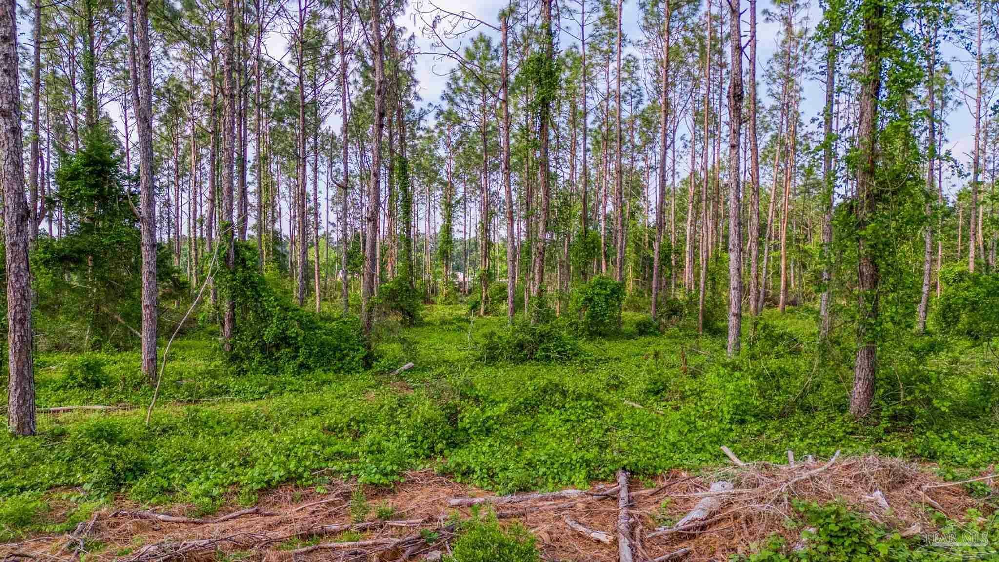 Property Photo: 0004 Martin Rd FL 32570