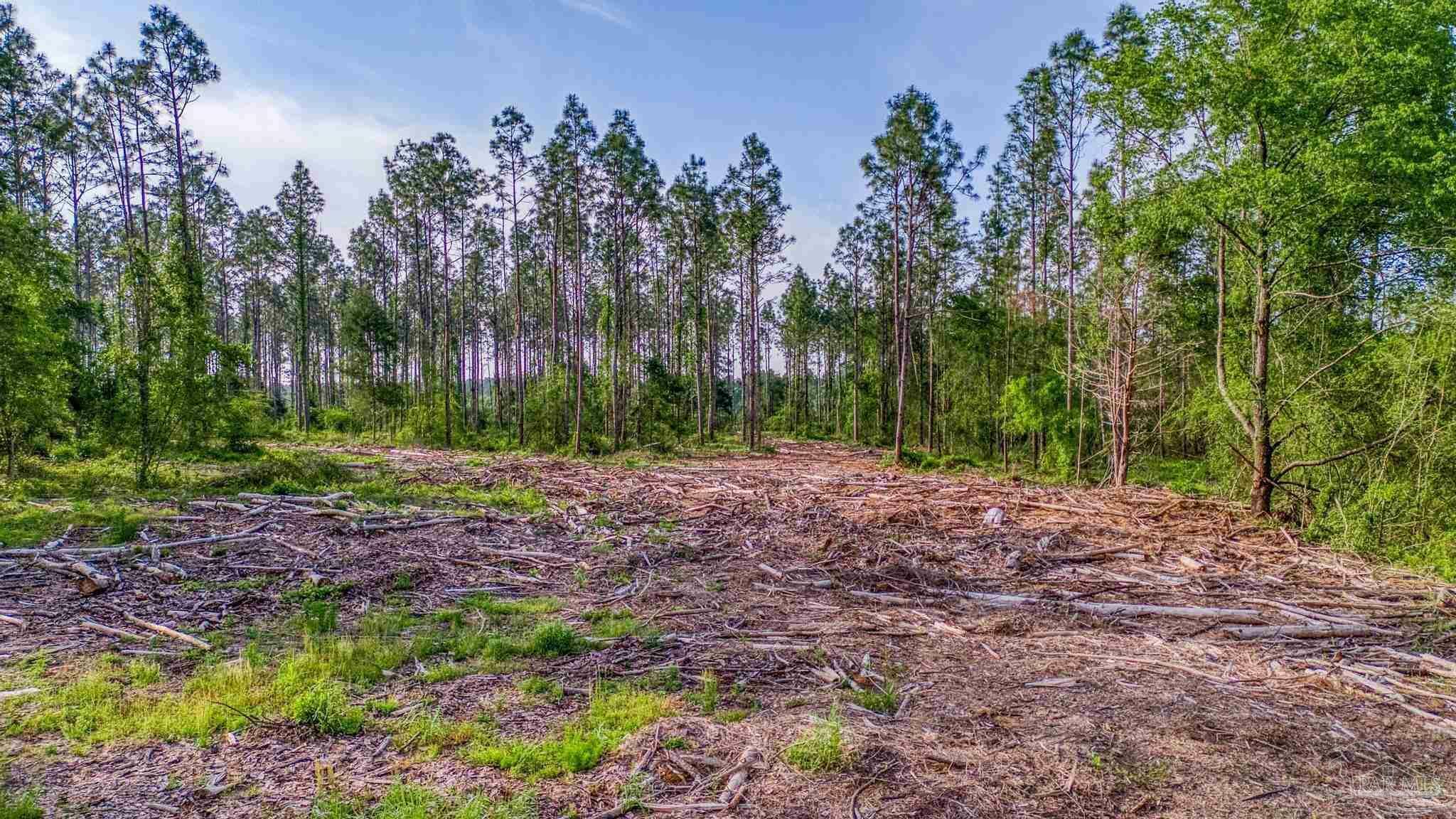 Property Photo: 0005 Martin Rd FL 32570