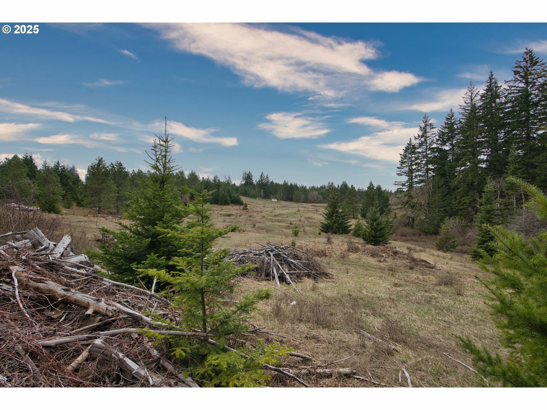 Property Photo: 15 Brookside Dr WA 98672