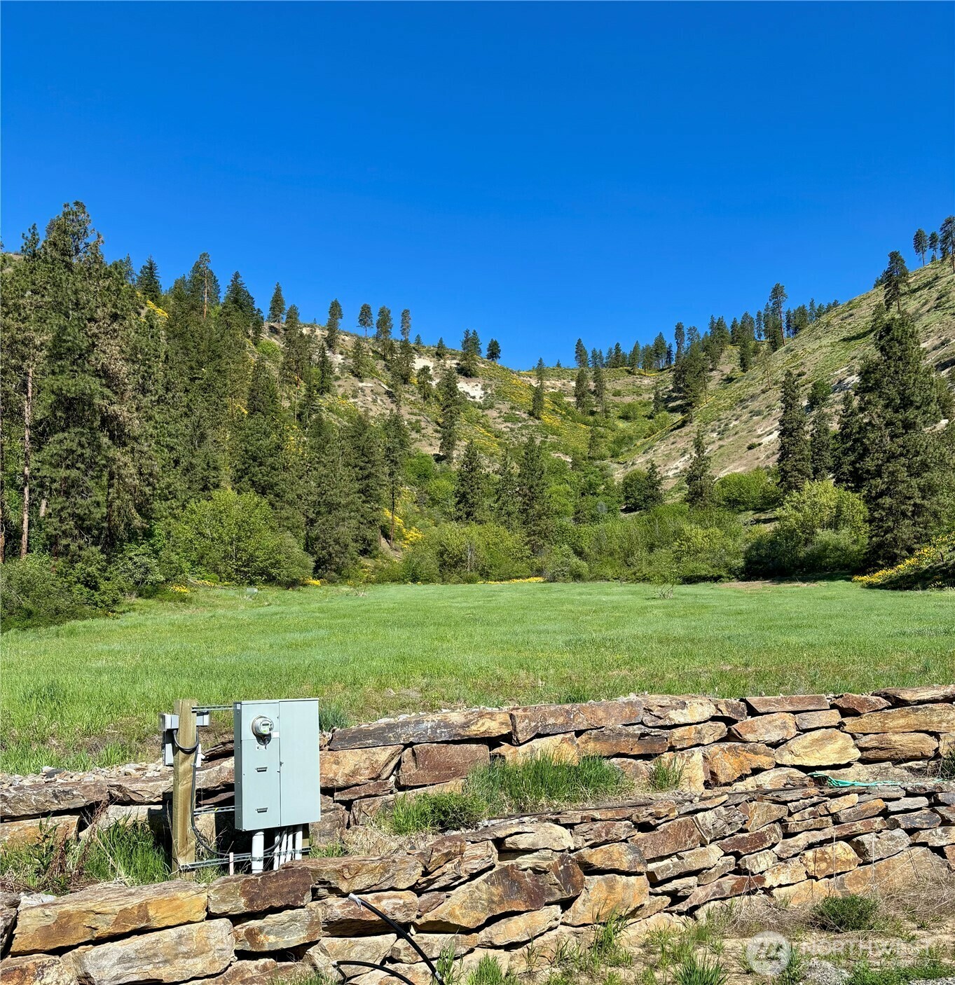 Property Photo: 67 Karl Downs Lane WA 98815