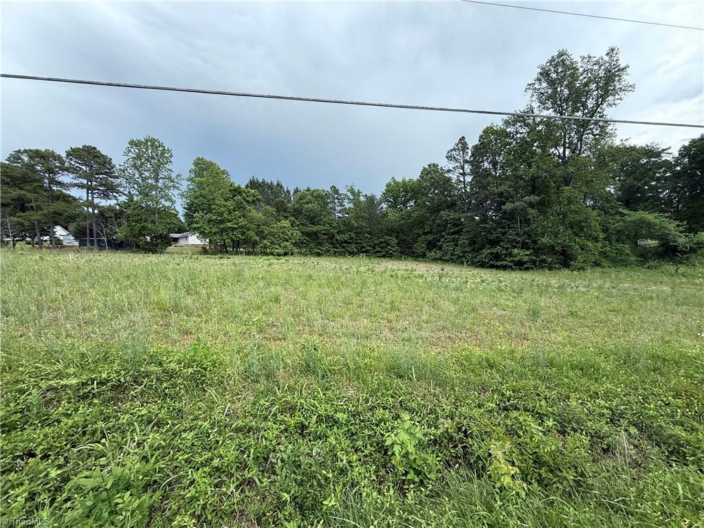 0 Hoover Hill Road  Trinity NC 27370 photo