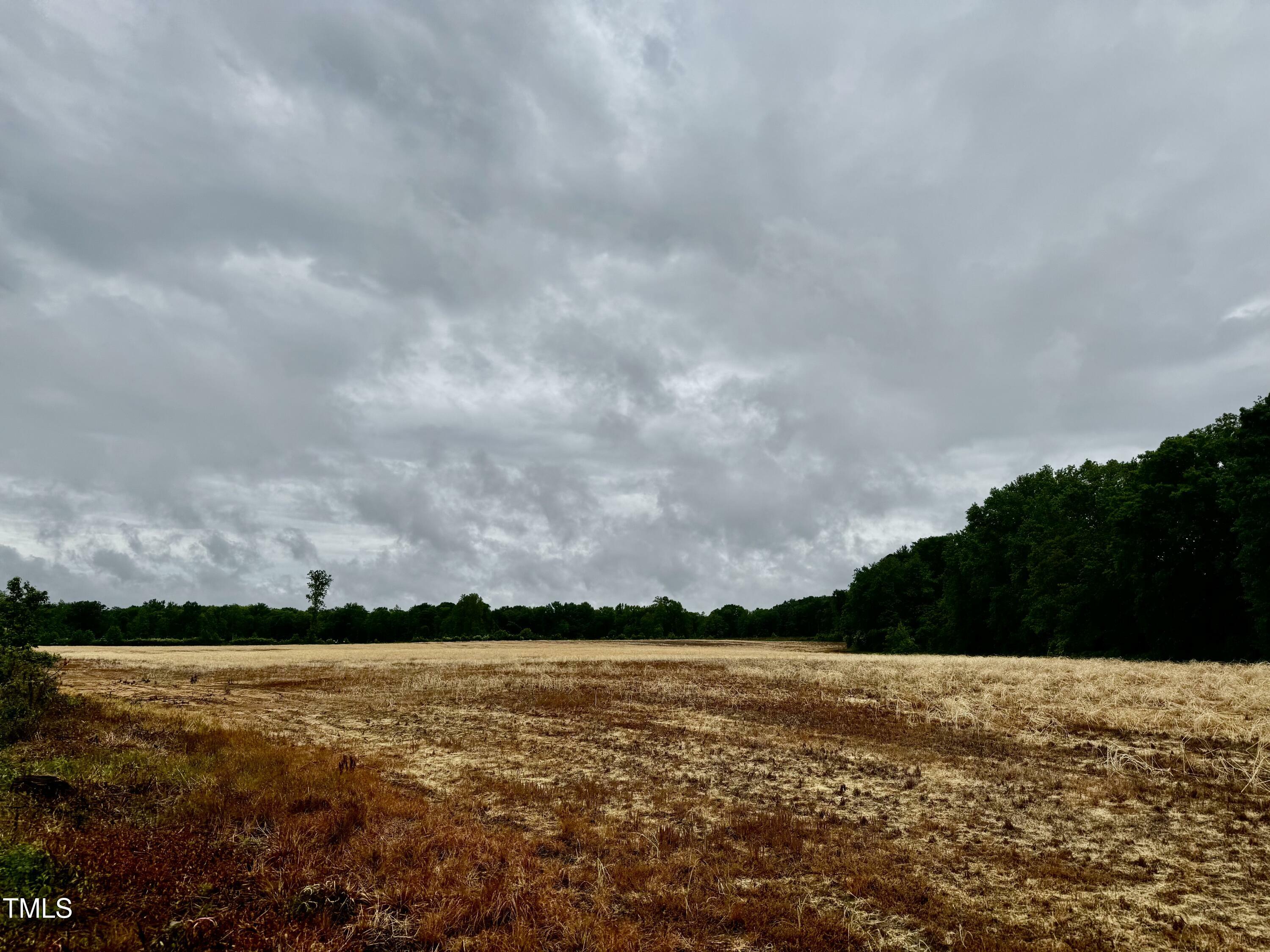 Property Photo: 0 N Nc 11 Highway NC 27855