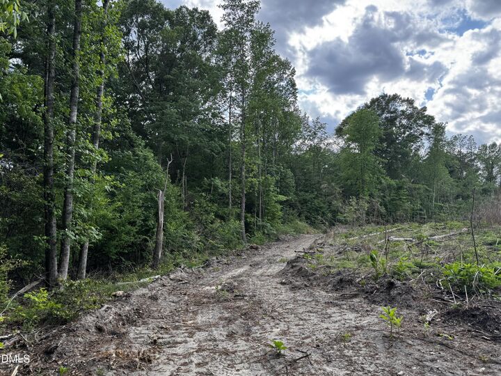 Property Photo:  0 N Nc  11 Highway  NC 27855 