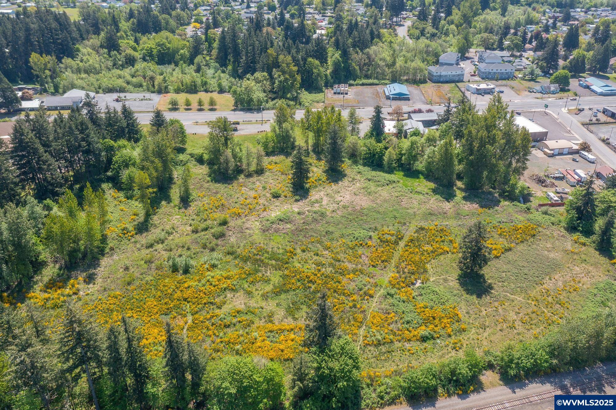 Property Photo: Lot 500 + 55-1 Main St OR 97386