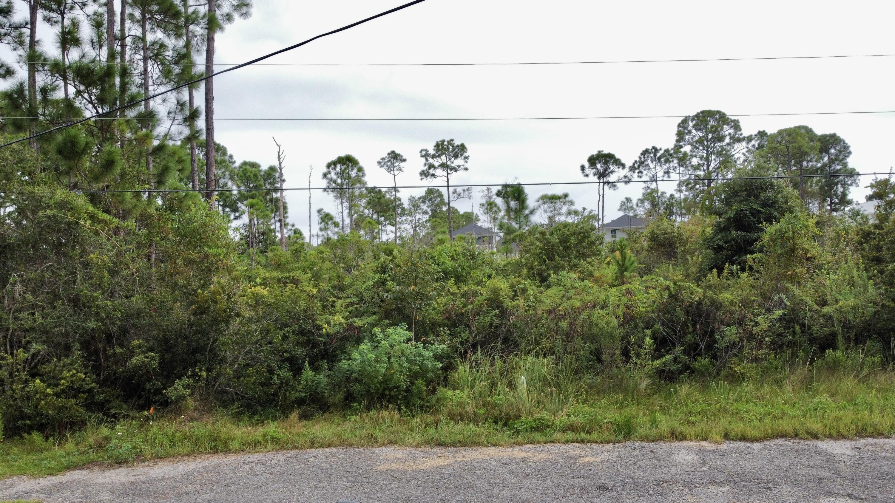 Property Photo: Lot 37 W Casa Grande FL 32459