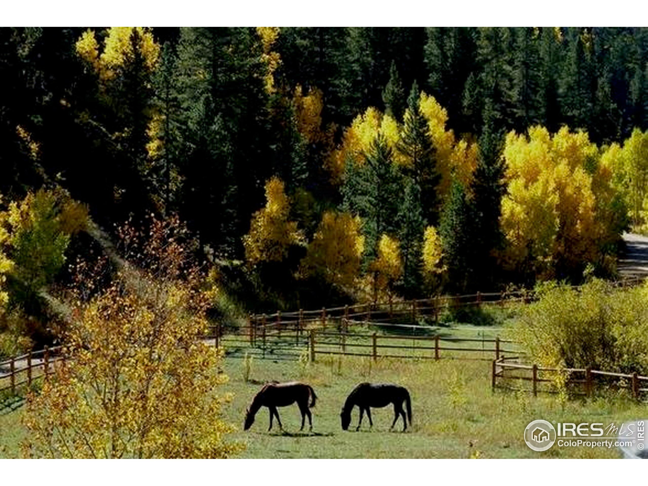 7127 Highway 72  Nederland CO 80466 photo