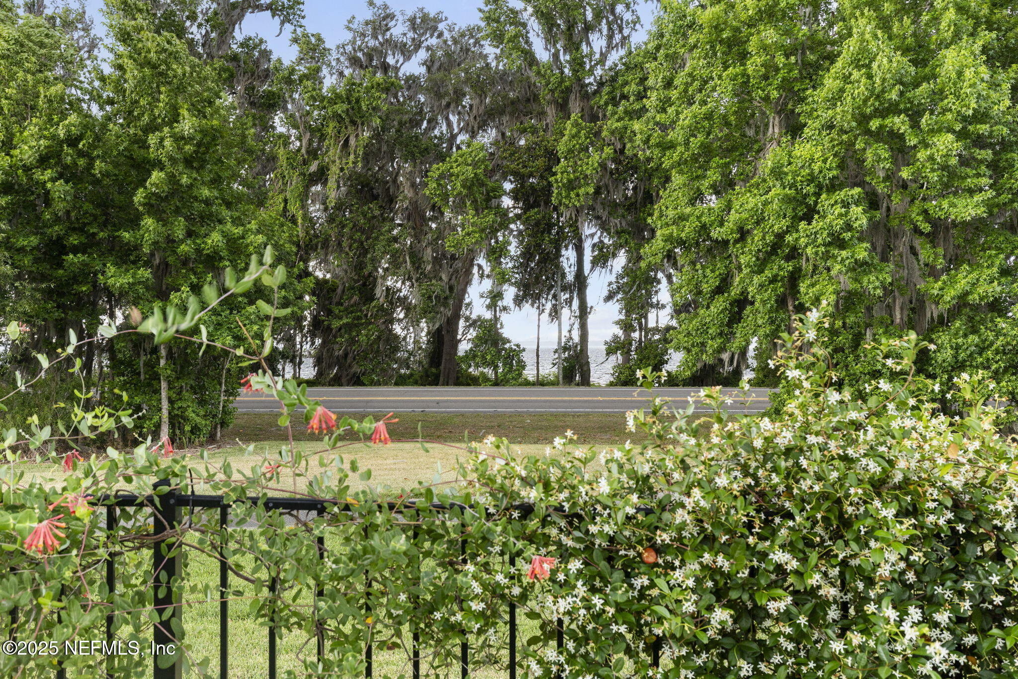 Property Photo: 178 Edisto Place FL 32259