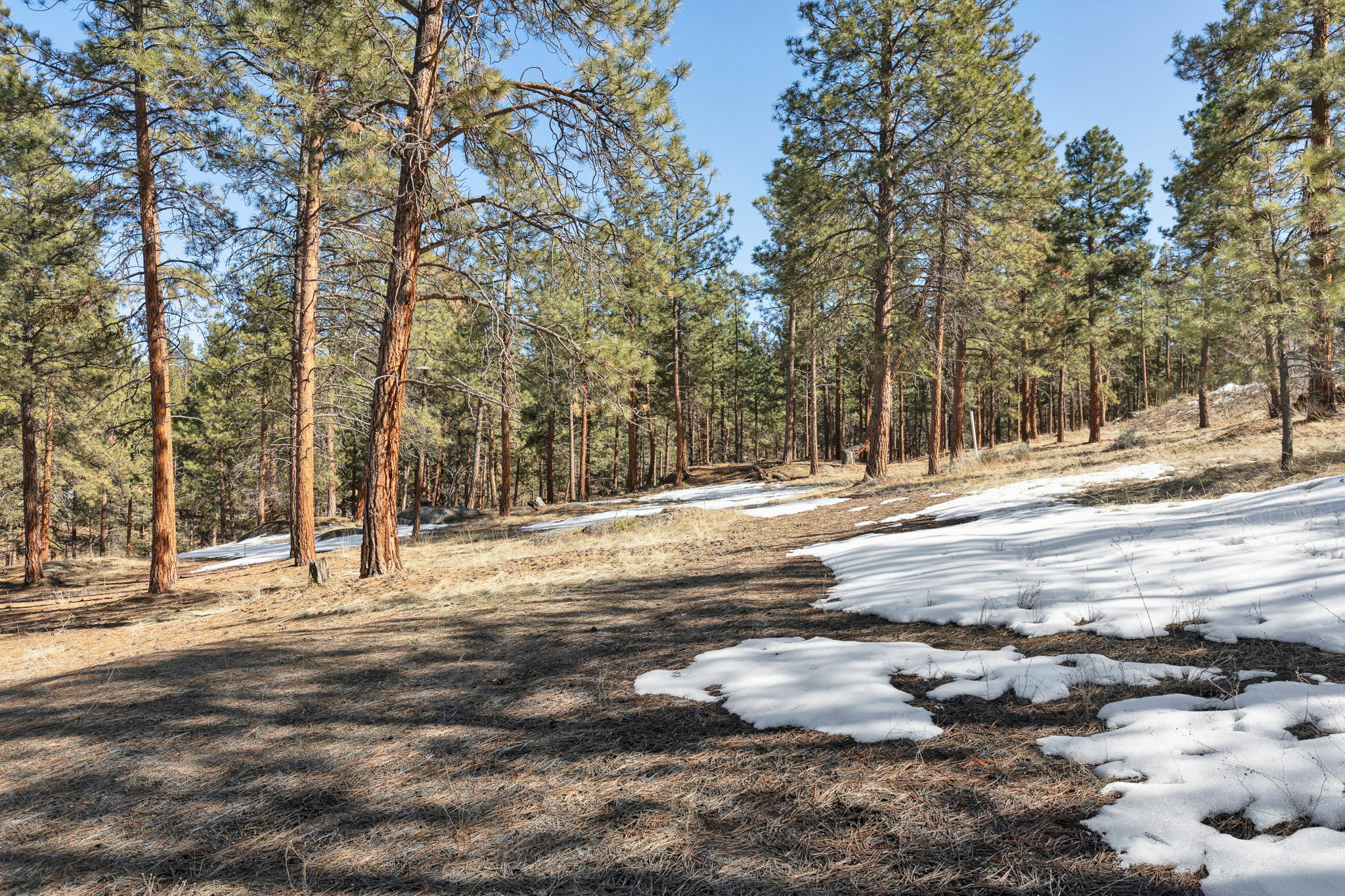 Property Photo: 1437 Stock Farm Road MT 59840