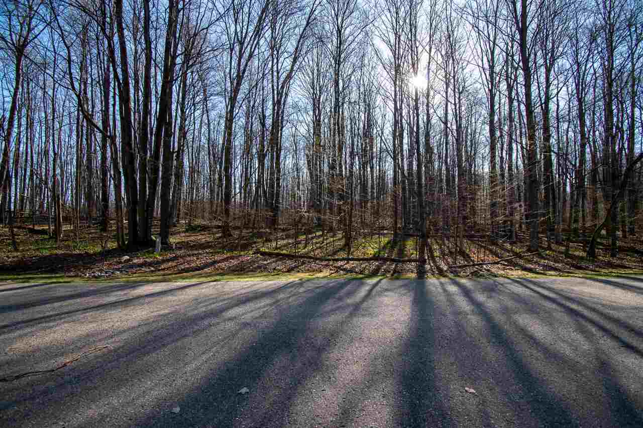 Property Photo: Tbd Klein Strasse Lot 15 MI 49615