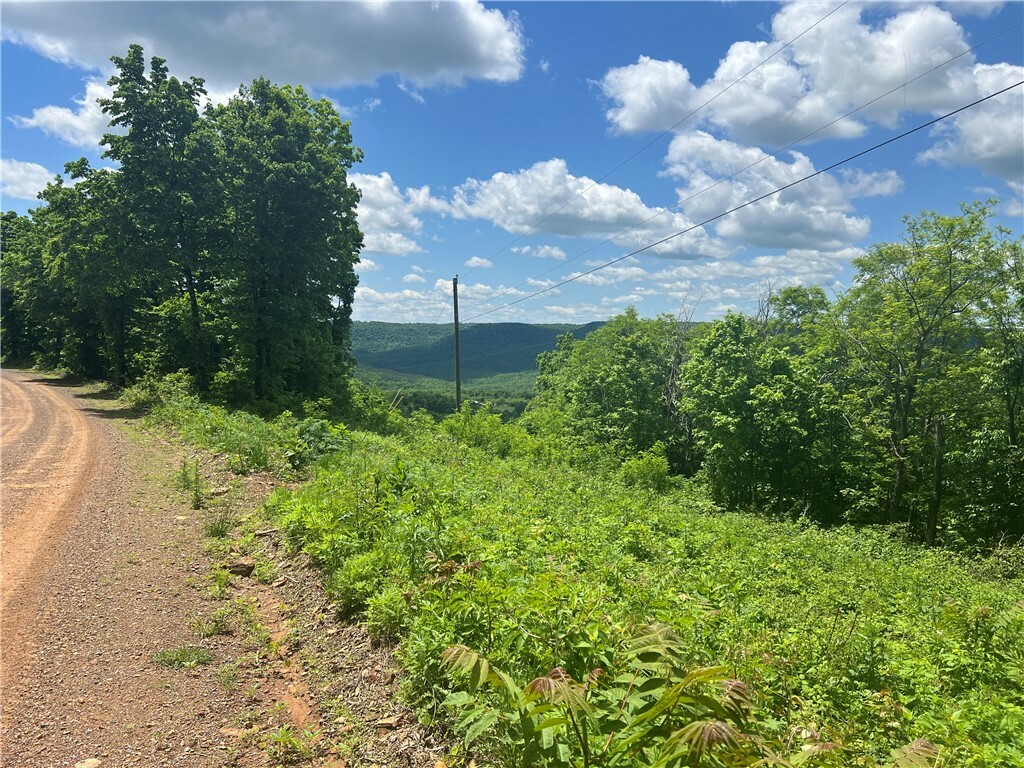 Property Photo:  Lick Fork Road  AR 72686 