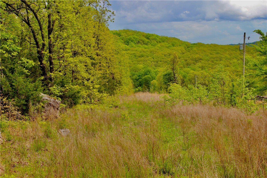 000 Dunkard Road  Harrison AR 72601 photo