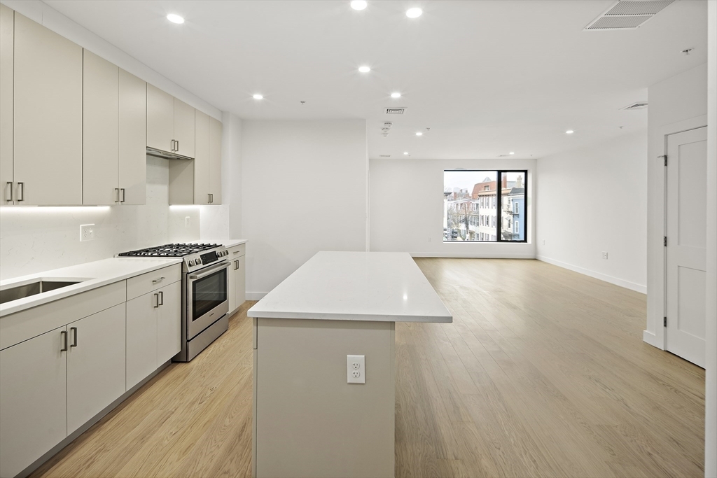 Property Photo: 256 Dorchester St 308 MA 02127