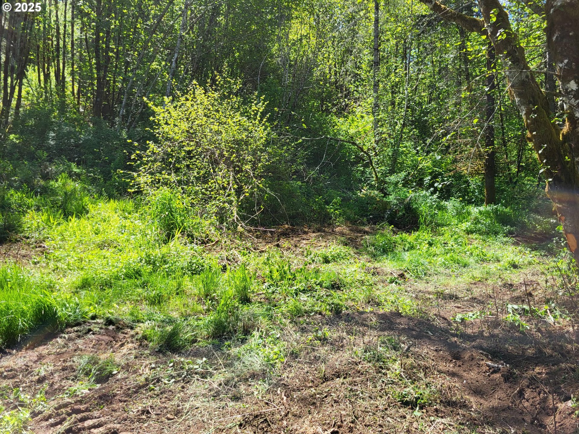 Property Photo: 0 Salmon River Hwy OR 97347